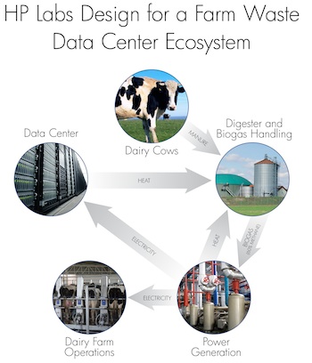 Cows in the datacenter