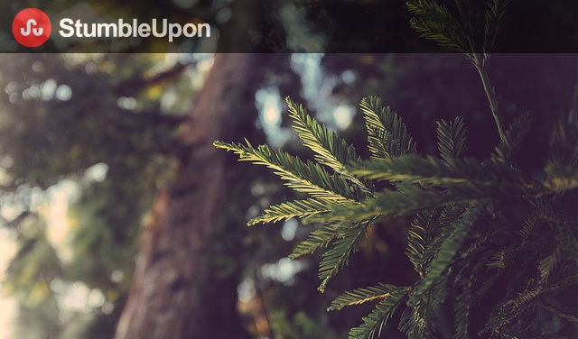 stumbleupon_evergreen