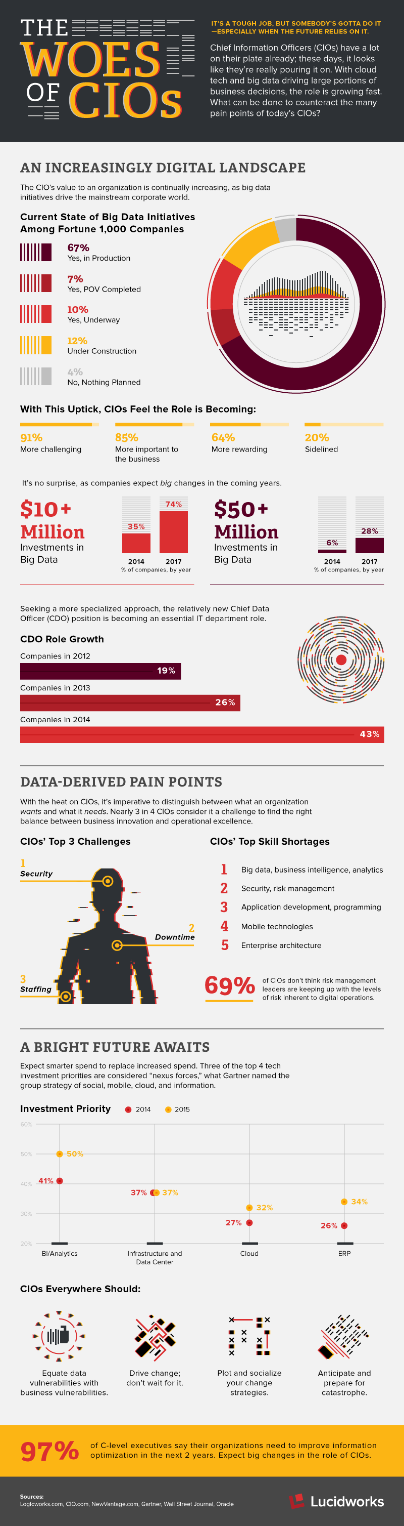 CIOpain_infographic