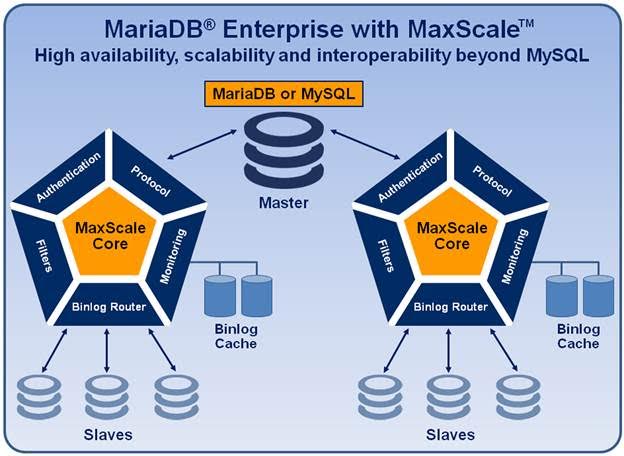MariaDB