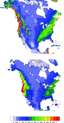 Average winter precipitation rate (mm per day) for a 10-year period (1995 to 2004) as simulated by a regional climate model with 12-km spatial resolution (top) and a global climate model with 250-km spatial resolution (bottom). Credit: Jiali Wang, Argonne National Laboratory