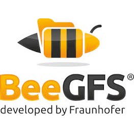 beegfs