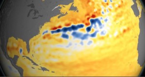 NASA visualization shows shifts in the Gulf Stream (in Blue). Yellow shows drops in Sea Levels while Orange shows increases.