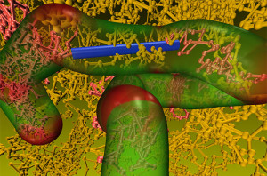 Confined to a tube to approximate the spaghetti-like motion of entangled polymers, a rod–coil block copolymer (rod in blue, coils in pink) moves through a sea of molecules. Flow is impeded when a molecule with a rod passes through a curved portion of the tube (denoted in red). [Image credit: Muzhou “Mitchell” Wang and Christopher N. Lam, Massachusetts Institute of Technology.]