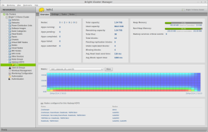 Bright Cluster Manager manages multiple instances of Hadoop HDFS simultaneously. Bright’s “Overview” tab for Hadoop illustrates essential Hadoop parameters, a key metric, as well as various Hadoop services.
