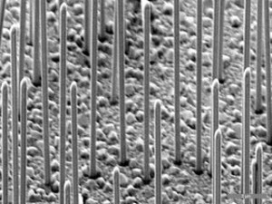 Nanowires deposited on a silicon surface