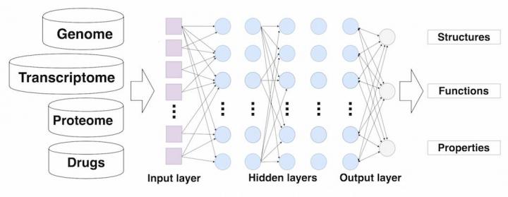 Deep neural networks for drug discovery