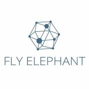 flyelephant