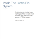 Lustre File System