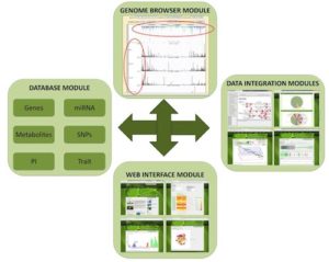 SoyKB is a web resource for all soybean data, from molecular data to field data including several analytical tools.