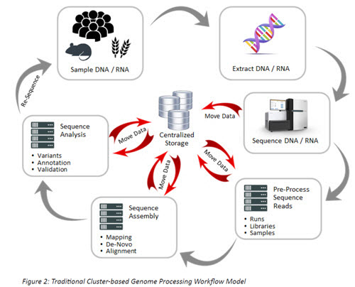 guide-to-genomics-sequencing