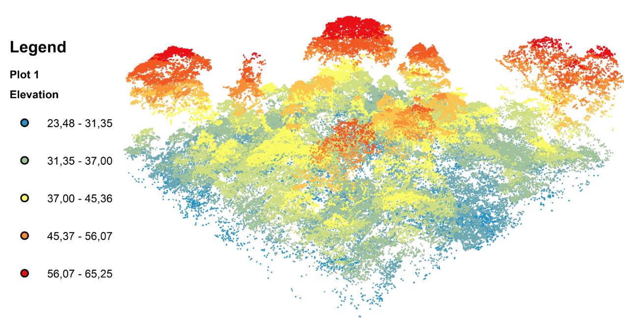 A LIDAR-generated 3-D model of forest canopy structures. (Credit: Journal of Applied Ecology Blog)
