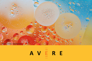 Avere Systems