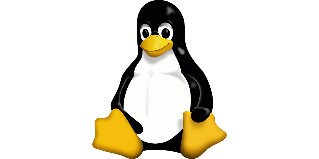 Linux-image-1100x550-1.png